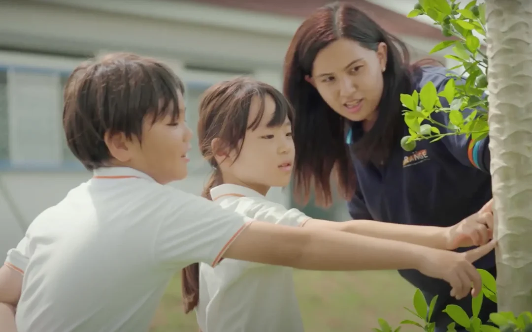 How The Grange Institution’s Green Yoshu is Fostering Biodiversity and Environmental Stewardship in Schools